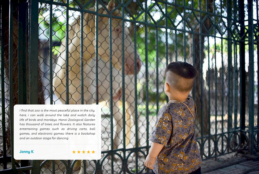 Always stay at a safe distance to respect the animals' space